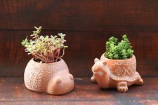 Animal Planter Terracotta 2-Pack Succulent Pot Turtle Lady Bug 