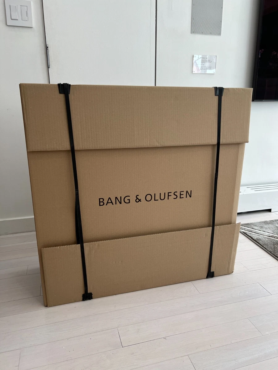 Beoplay a9 ebay sale