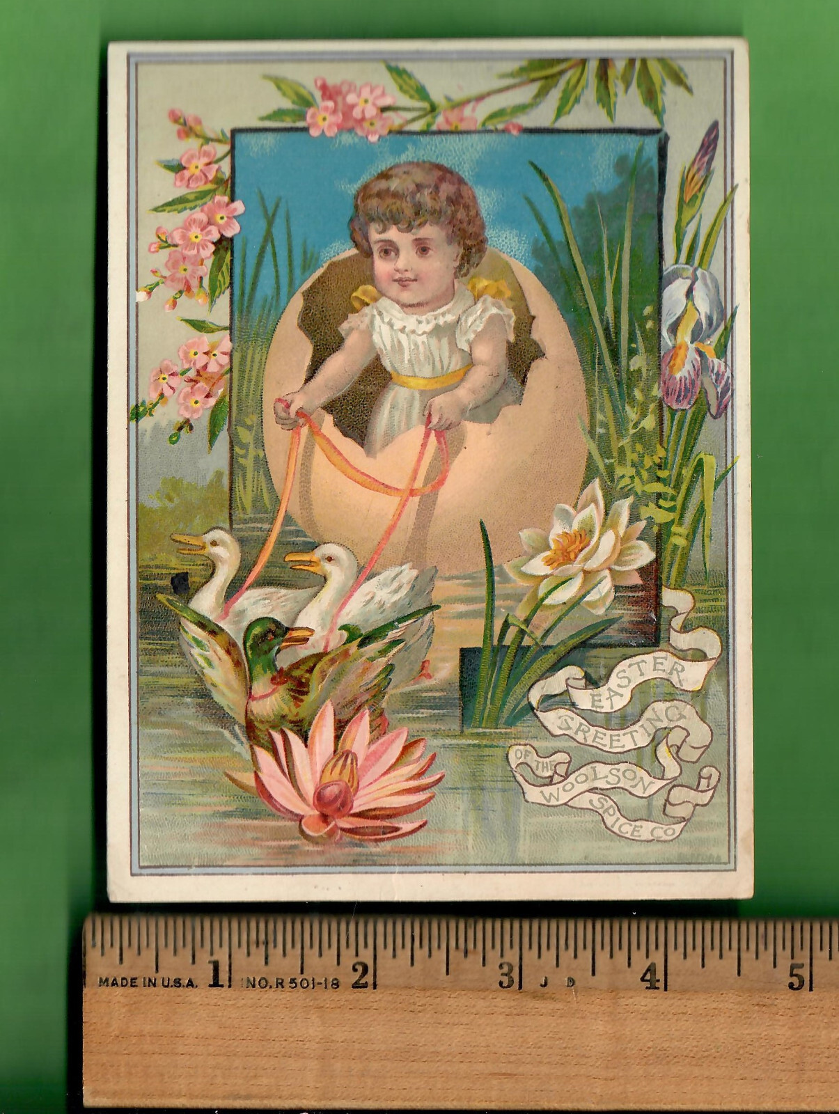 c1886 LARGE TRADE CARD - EASTER GREETINGS - DUCKS PULLING GIRL IN EGG - WOOLSON