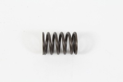 Genuine Robin 22G-33611-03 Valve Spring Fits EX40 246-33611-03