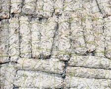 6 Inch White Sage Bulk Wholesale Cost  White Sage Smudge Sticks 6" 10,25,50,100