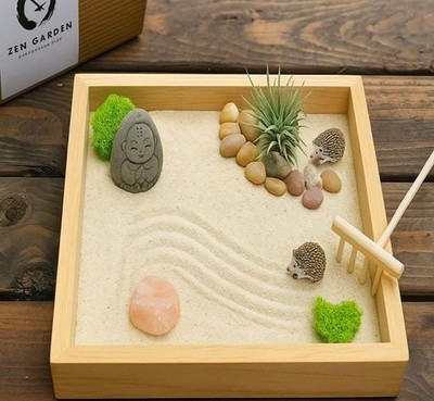Zen Garden Kit with Live Plant Desktop Meditation Decor Free Ship US