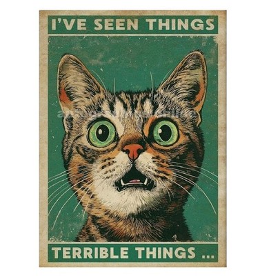 IVE SEEN TERRIBLE THINGS CATSIGN BADSCHILD METALLSCHILD PLAKETTE GESCHENK A6 A5 A4