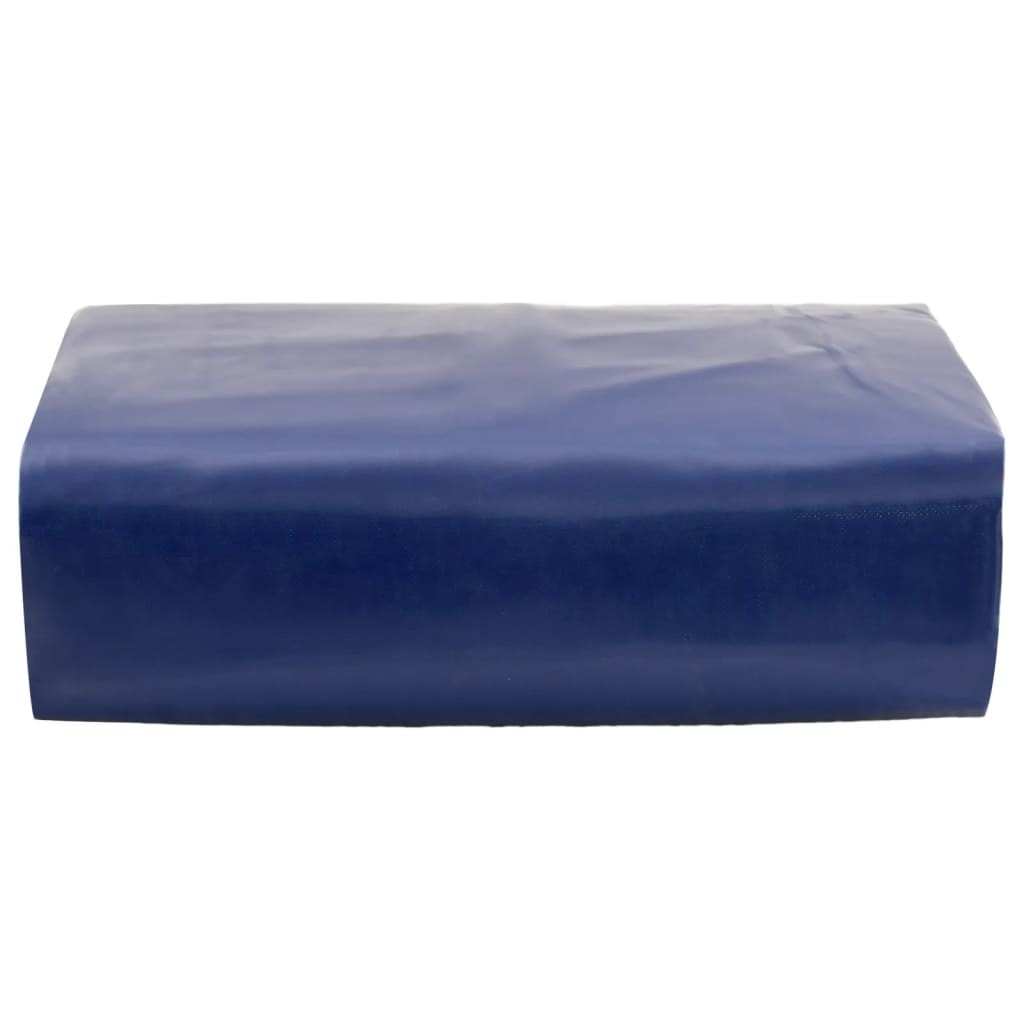 Telone Professionale 3x6m in PVC Blu 650g/m² - Ultra Resistente