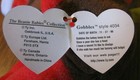 Bild 12 von 12