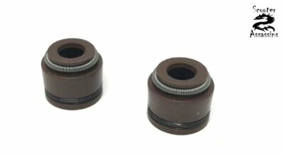 2x Ventilschaft Öldichtung für SINNIS Matrix II Shuttle Spirit 125, UK