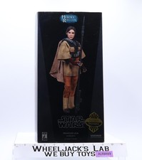 Princess Leia As Boushh Star Wars Heroes of t...