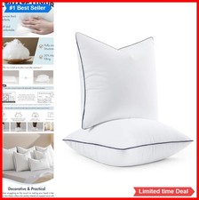 Throw Pillow Insert 20x20 Inch Down Alternative Pack of 2 Square Decorative