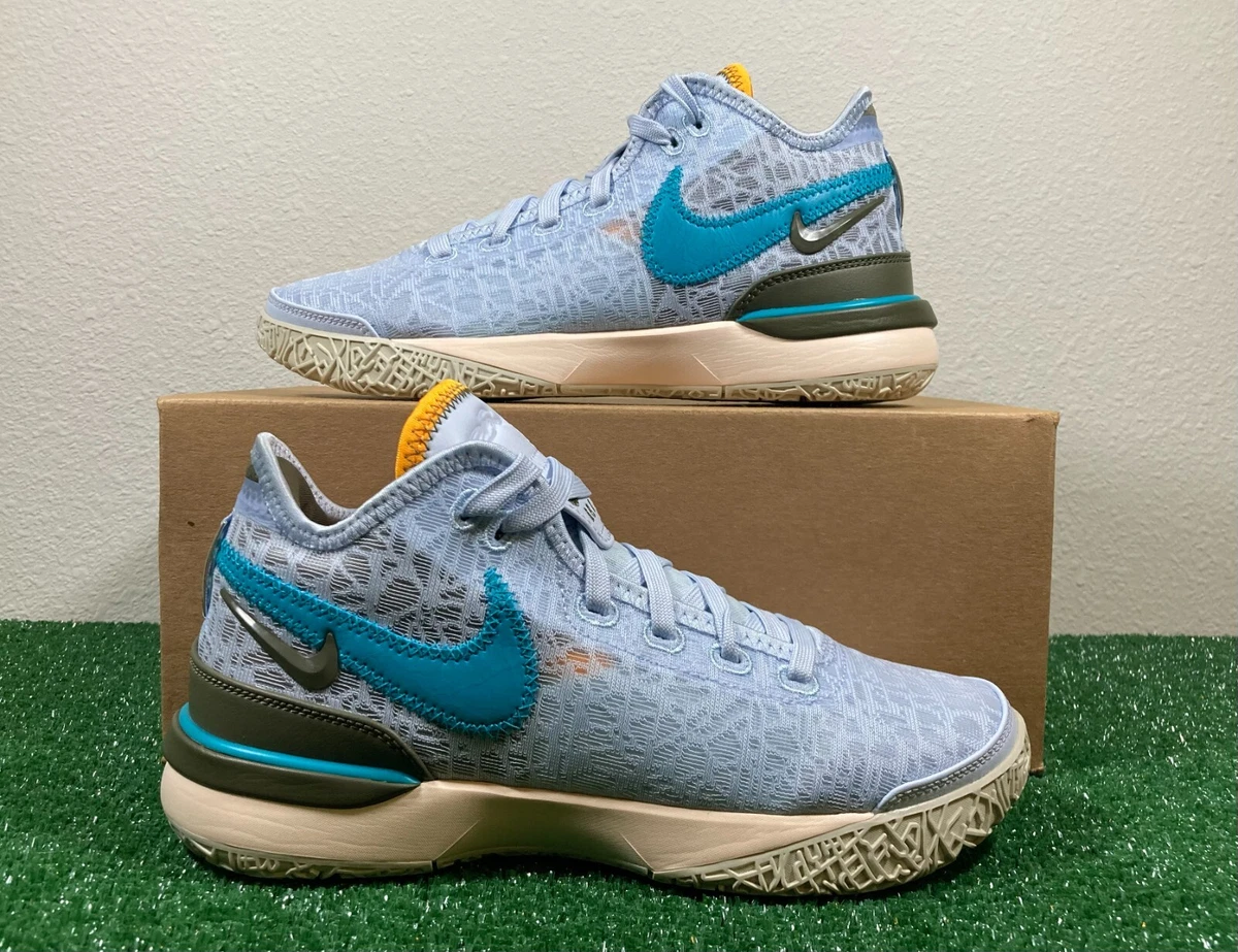 Nike Zoom LeBron NXXT Gen Blue Tint for Sale | Authenticity