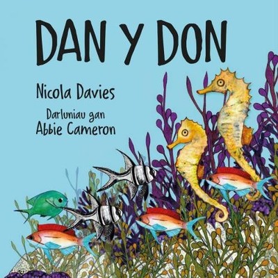 Nicola Davies Dan y Don (Paperback) Rhyfeddol! (UK IMPORT)
