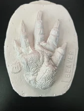 Plaster Cast of a Beaver Paw Print – Wildlife Track Replica, 4" x 3"