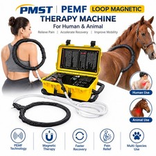 PMST Loop PEMF Magnetic Therapy Machine Physio Magneto Therapy Pain Relief