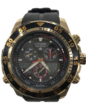 CITIZEN Promaster C660-S067634 Eco-Drive Gold Solar schwarzes Zifferblatt Her...