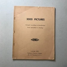 3000 Pictures Grouped According to Classification 1950 PB
