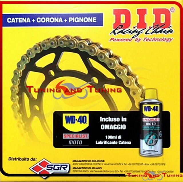 Foto di catalogo