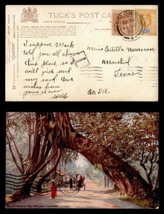 DR WHO 1907 CEYLON BANYAN TREE ARCH POSTCARD TO USA POSTAGE DUE R71368