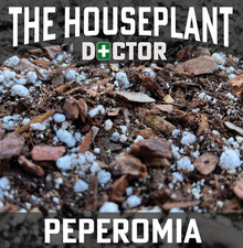 PEPEROMIA Soil Mix (Pest-Free Repotting Compost Watermelon/Raindrop Plants 1-25L
