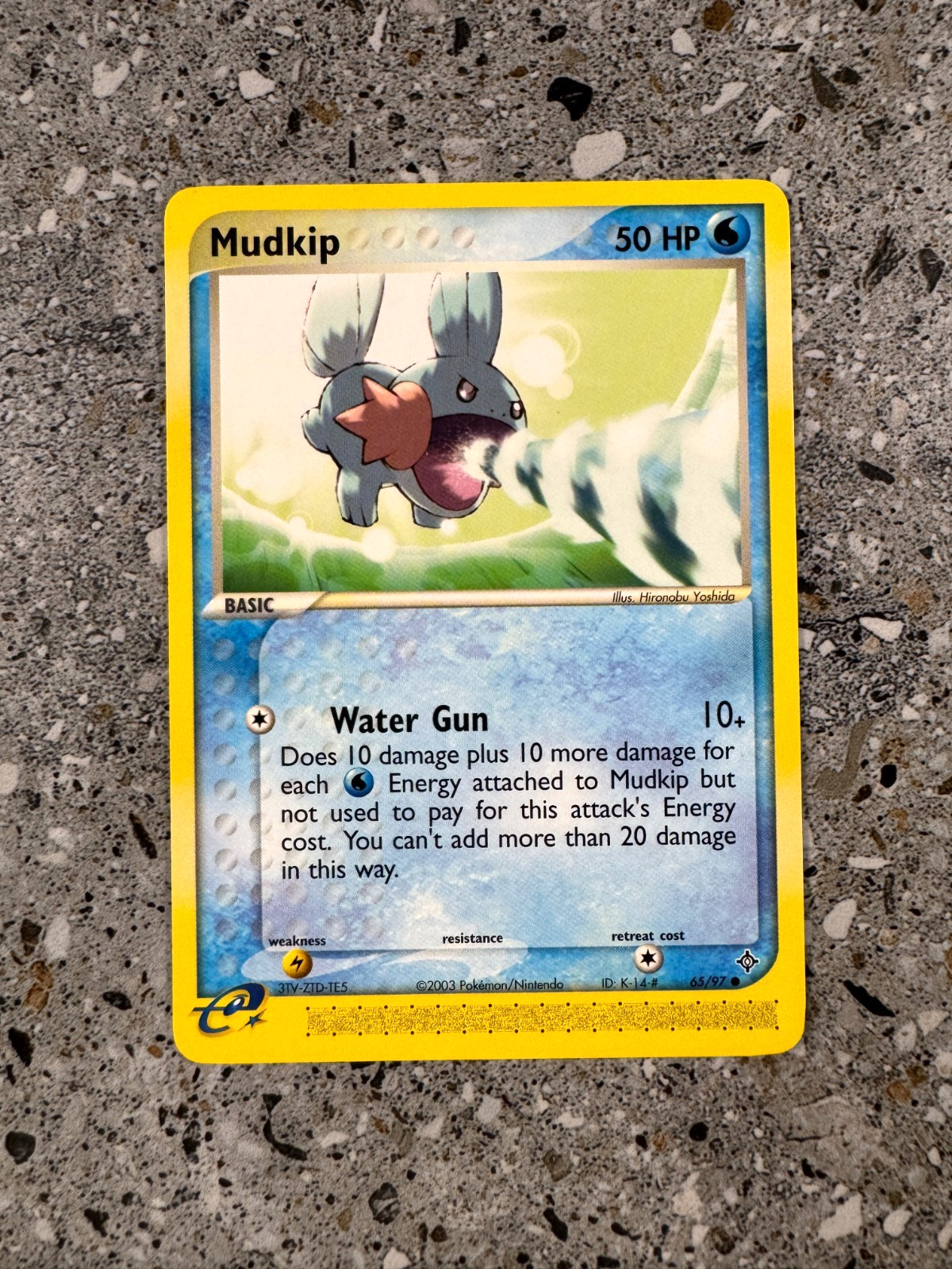Pokemon TCG Cards Mudkip 65/97 Dragon NM-M