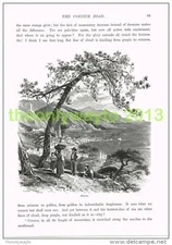 MENTONE, FRANCE, Book Illustration (Print) c1875