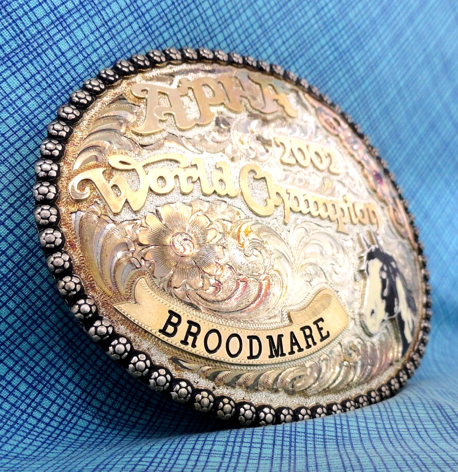 APHA 2002 World Champion Broodmare Belt Buckle SS 10K Overlay Vtg Gist SS.GMP007