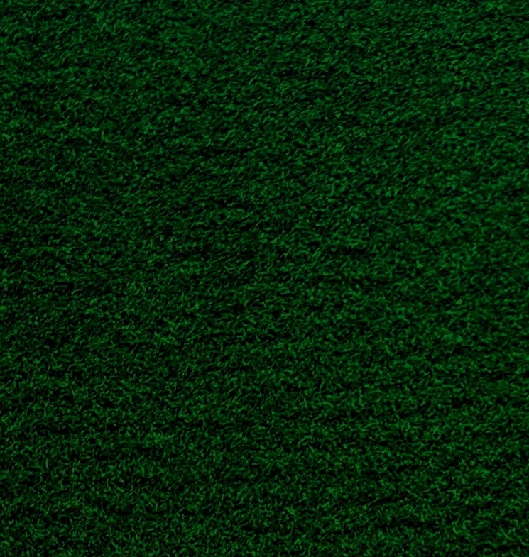 Picture 18 of 31