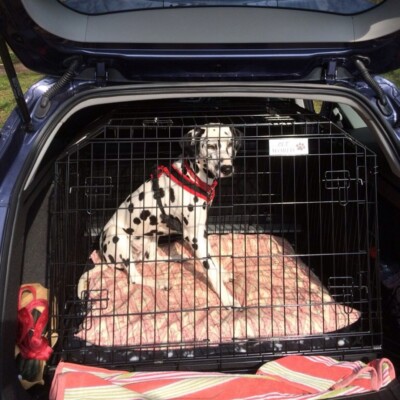 HONDA CIVIC TOURER 2014+ Sloping Dog pet puppy travel cage crate  transporter UK
