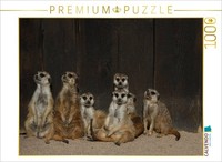 Calvendo Puzzle ErdmäNnchen | 1000 Teile Lege-GrößE 64X48Cm Foto-Puzzle FüR GlüC