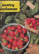 COUNTRY GENTLEMAN June 1948 HOME GROWN BUILDINGS REARRANGING RAIN beautiful ads 