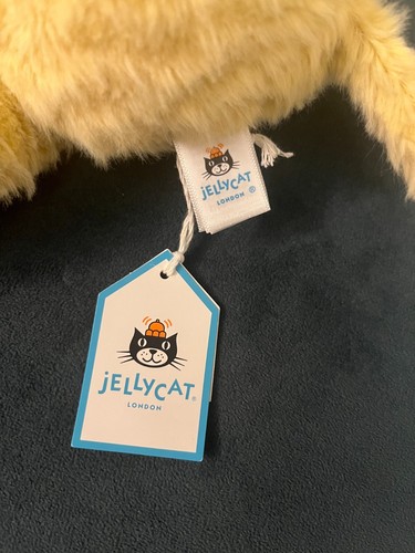 Jellycat BNWT "I am Rolie Polie Giraffe" ROLP3GE Authentic Retired RARE HTF - Picture 6 of 9