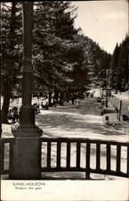 RPPC Slanic Moldova Park view vintage postcard g894