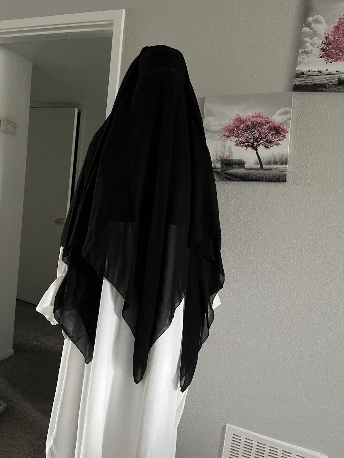 Picture 5 of 6