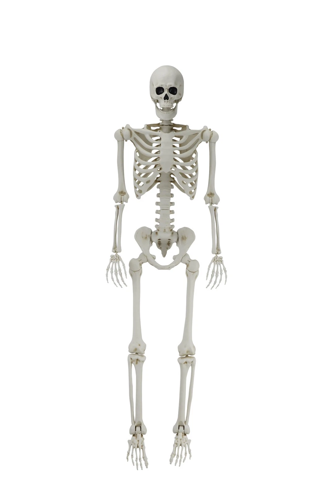 Ultimate 2025 Guide to Halloween Outdoor Decorations: What’s Worth Buying Now
