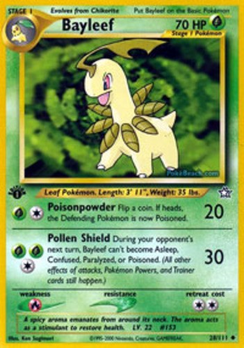 Bayleef
