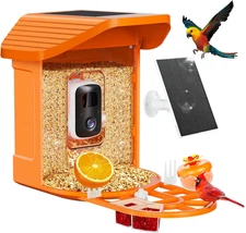 Smart Bird Feeder with Camera, Vibrant to Attract Birds, 2K HD AI Birdspecies Id