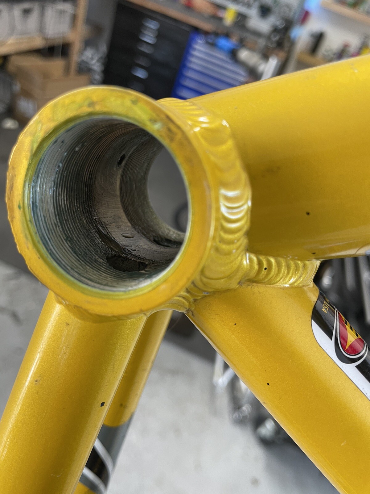Iron Horse Triumph race bike frame