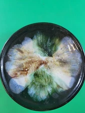 Rossa Pottery Cashel Tipperary Ireland Multi Color Drip Glaze Bowl 4 7/8"