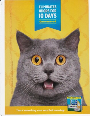 print ad FRESH STEP CAT LITTER 2014 magazine page gray grey face extreme vtg
