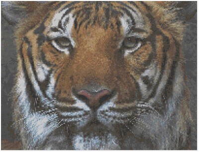Kreuzstichmuster von Florashell - Raubkatze Tigeraugen