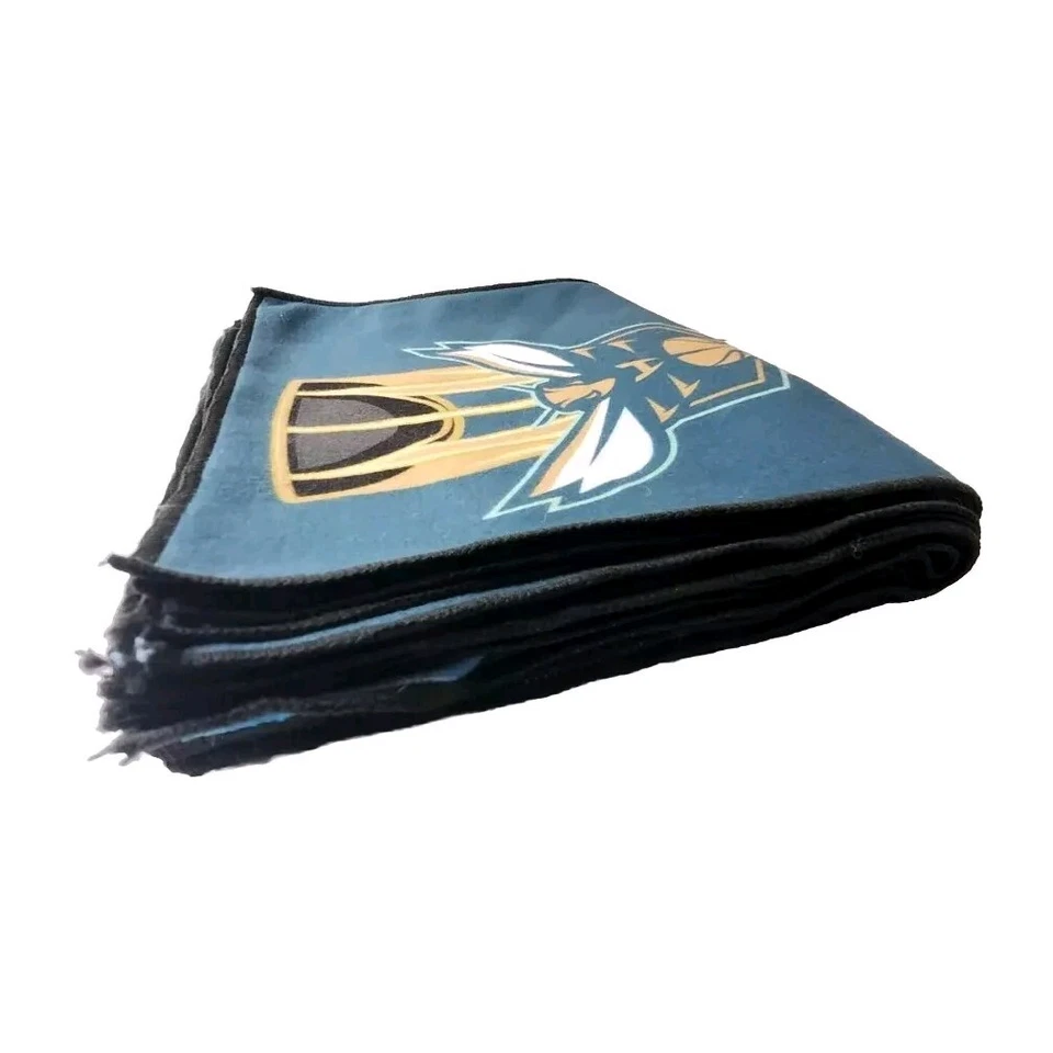 批量 10 件 夏洛特黄蜂 The Hive is Alive 季节锦标赛 毛巾 拉力赛 Rag — 第 3/3 张图片