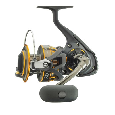 Daiwa BG Angelrolle Stationärrolle Spinnrolle - 1500 bis 8000 alle Modelle Meer