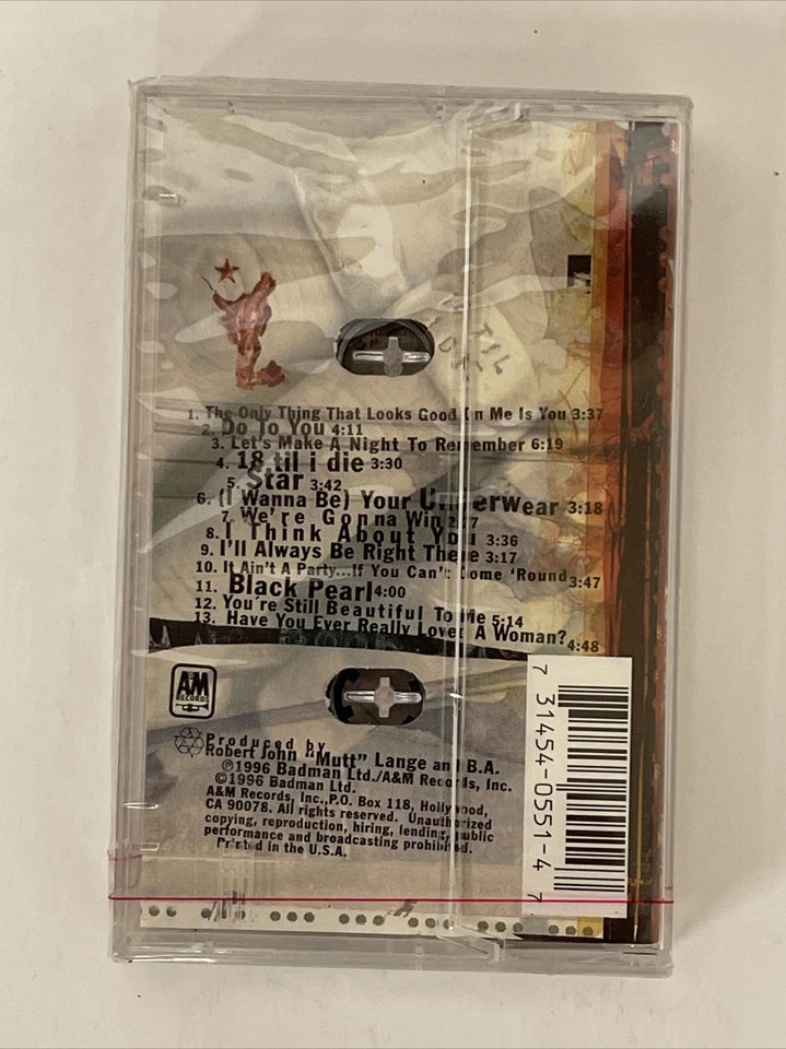 BRYAN ADAMS - 18 TIL I DIE CASSETTE TAPE SEALED AM Records Printed In USA - Image 2 of 3