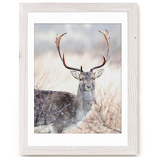 Fun Memories 18X24 Picture Frame Solid Elm Wood Picture Frame Real Glass Large
