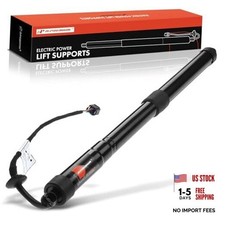 Rear Tailgate Right Power Lift Support Shock Strut Compatible with Select