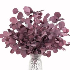 Eucalyptus Stems Preserved Real Dried Eucalyptus Plant Decorations,20Pcs  Eu...