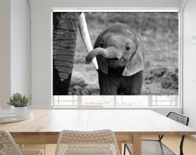 Elefantenfamilie Tierszene bedrucktes Bild Fenster Foto Rollo 1X771686