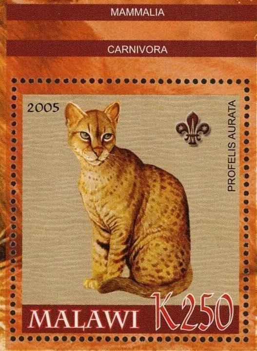 Malawi Animals of Africa Mammals Profeus Aurata Cats Souvenir Sheet Mint NH - Image 2 of 4