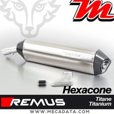 Schalldämpfer Auspuff Remus Hexacone Titan BMW F 650 GS ABS 2009
