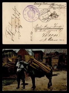 DR WHO 1916 AUSTRIA WWI NAVY SHIP BOSNIA POSTCARD R77407