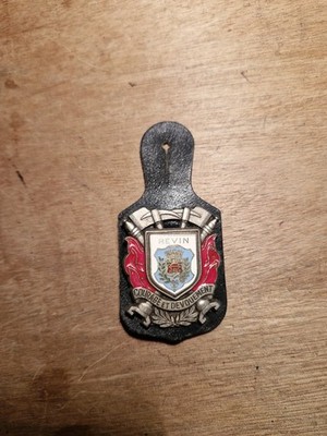 Abzeichen Feuerwehr Revin