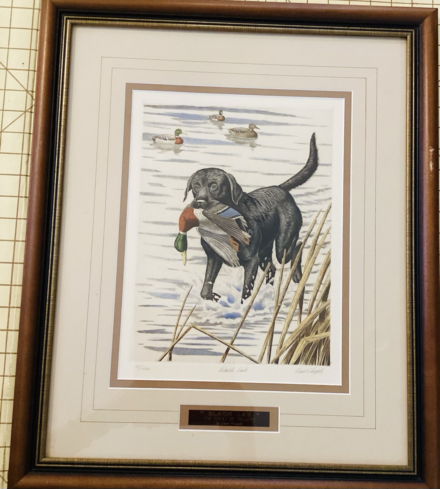 Dave Chapple 10 X 13 Black Lab Labrador Dog Retriever Hunting Water Marsh Duck